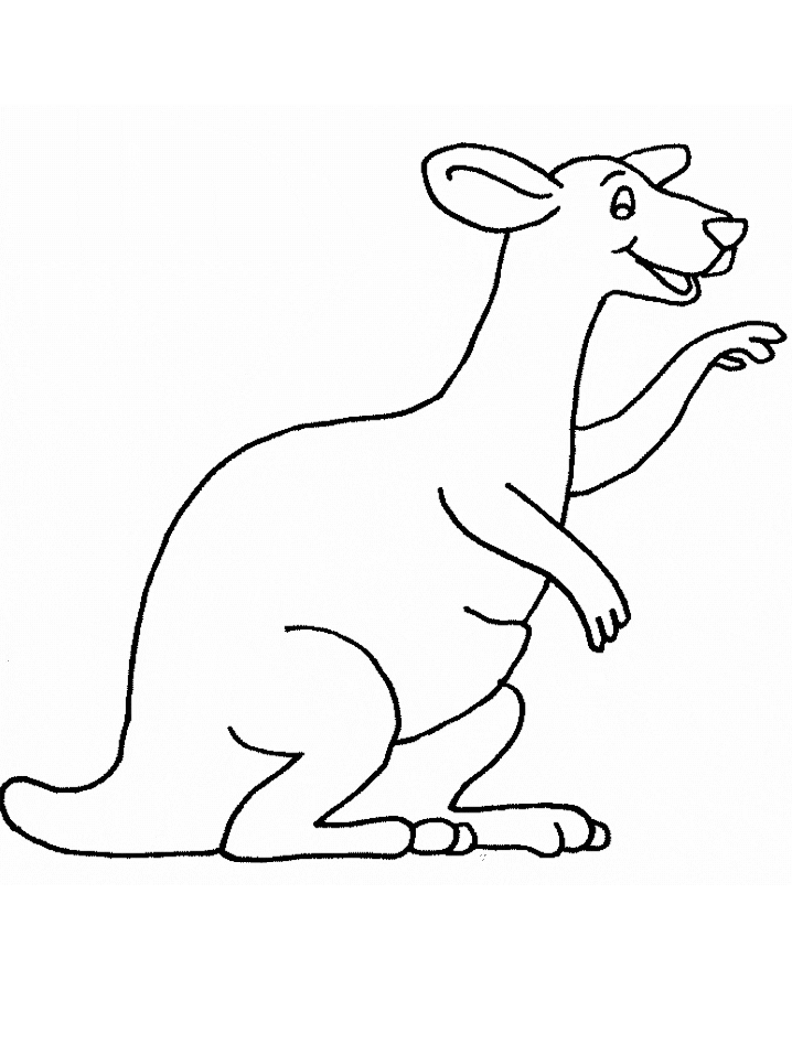 Kangaroo Animals Coloring Pages