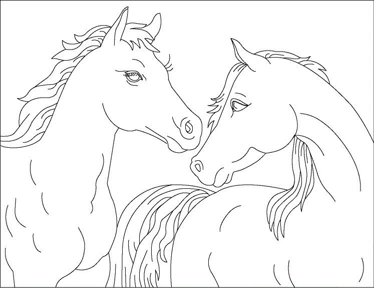 Male And Female Horse Coloring Page