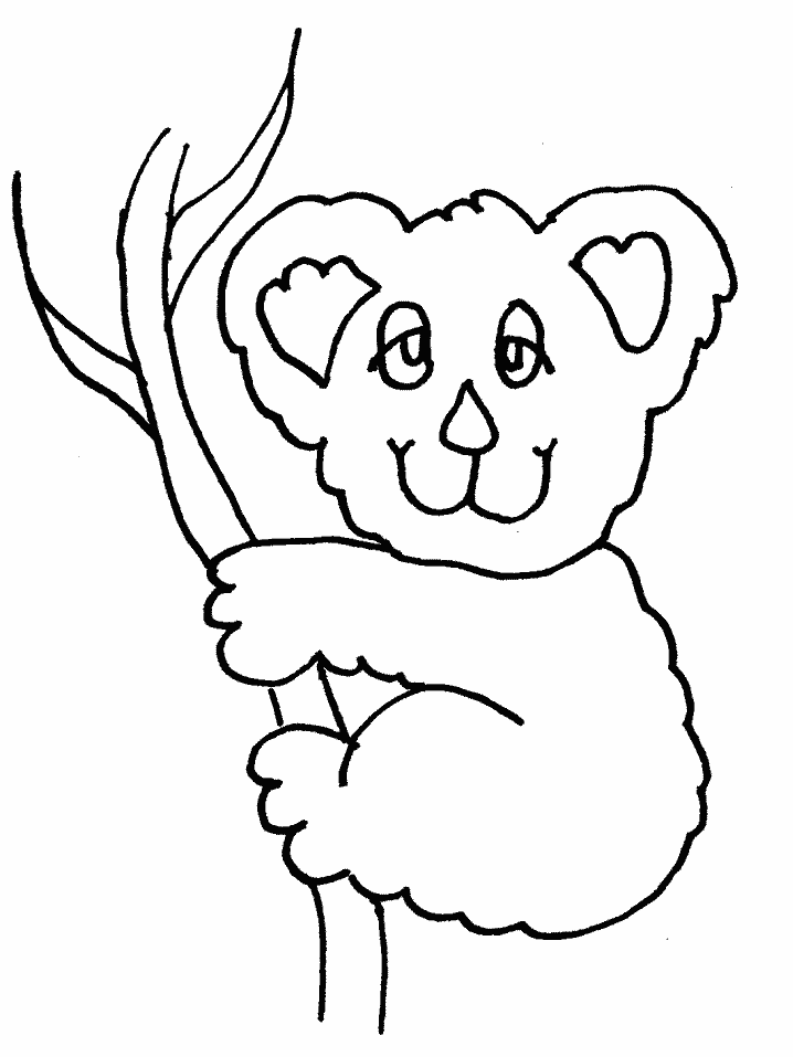 Koala Animals Coloring Pages