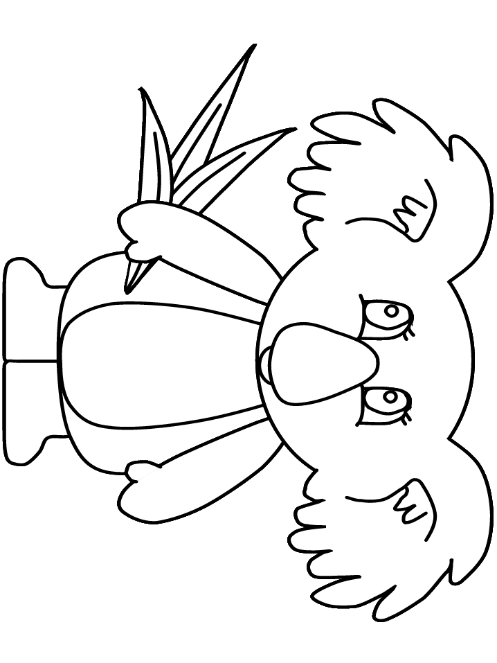 Koala Bear Coloring Page