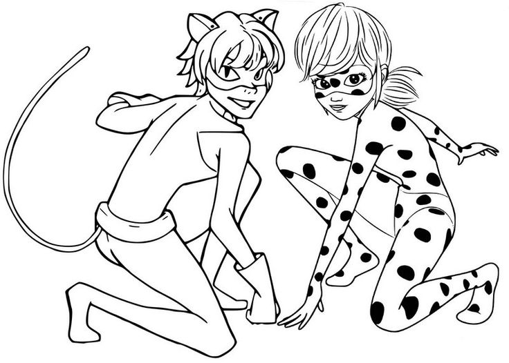 ladybug and cat noir color pages