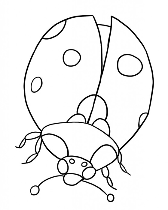 ladybug coloring page printable