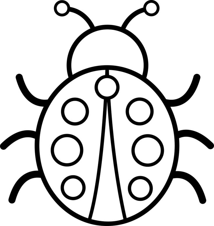 Ladybug Coloring Page