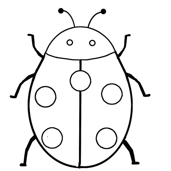 ladybug coloring pages printable