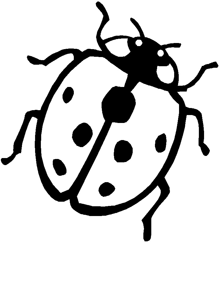 ladybug free coloring pages