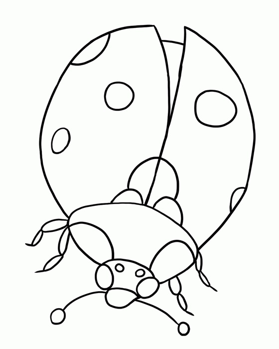 ladybug printable coloring pages