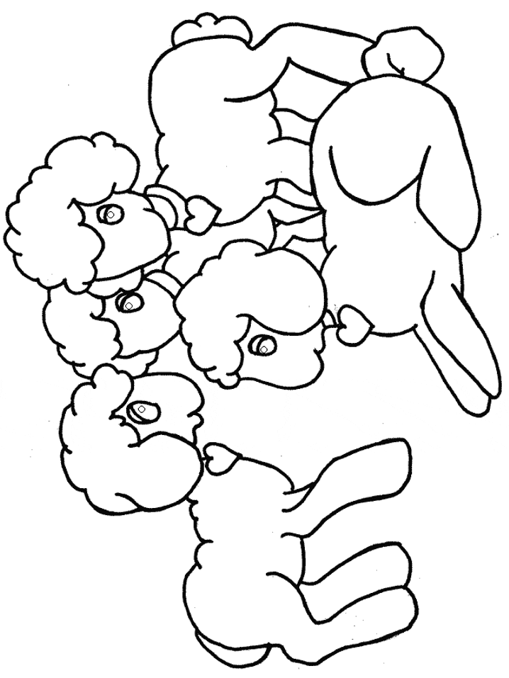 Lambs Animals Coloring Pages