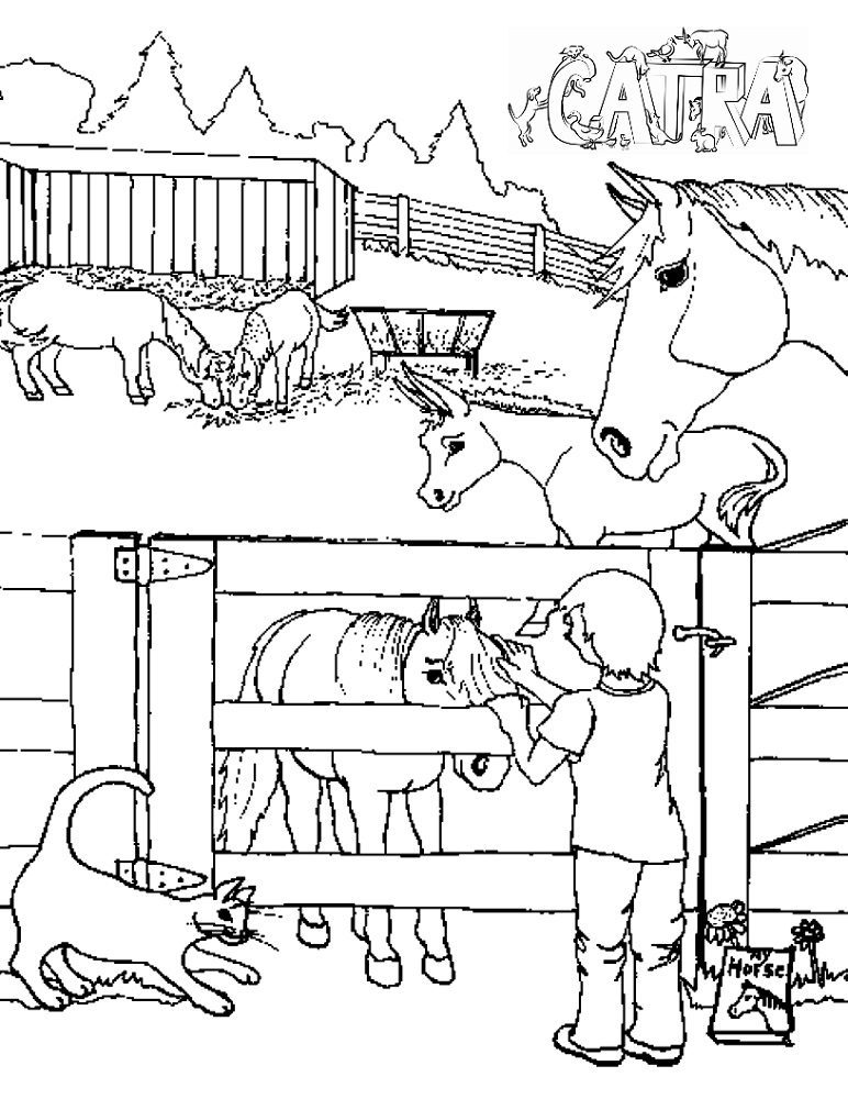 land scaped horse farm coloring pages