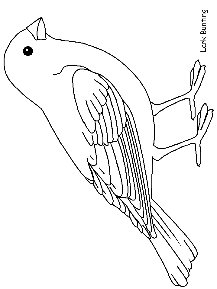 Larkbunting Animals Coloring Pages