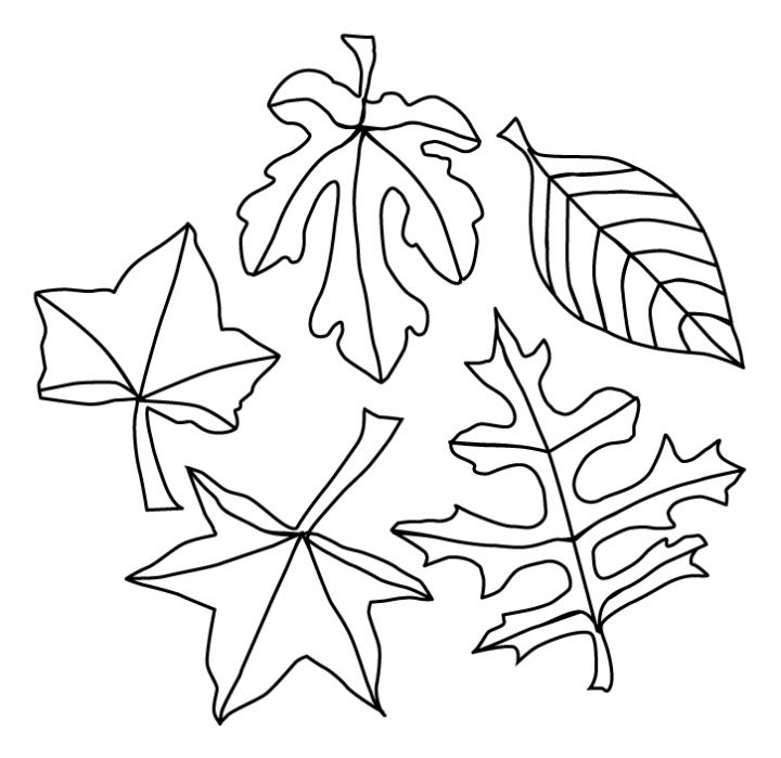 Leaf Coloring Page