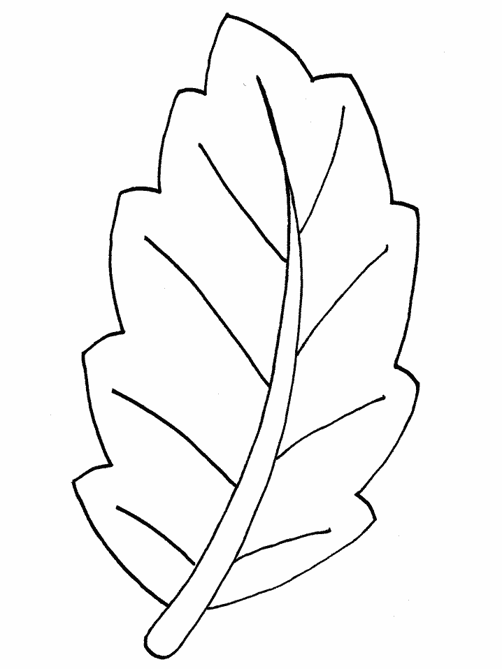 Leaf Autumn Coloring Pages Printable