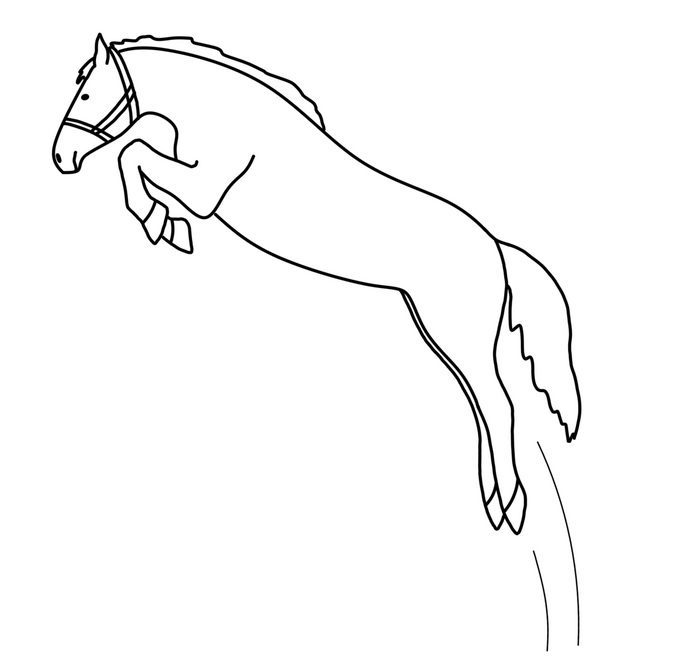 leaping horse coloring pages
