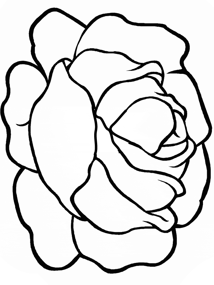 Lettuce Fruit Coloring Page Printable