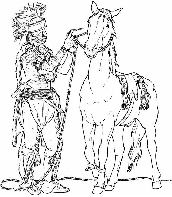 light horse breed coloring pages