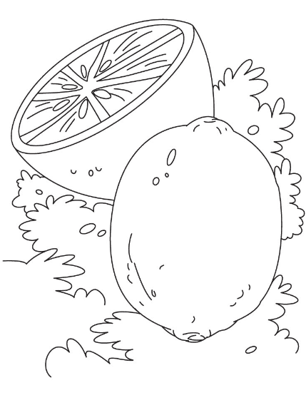 Lime Coloring Page