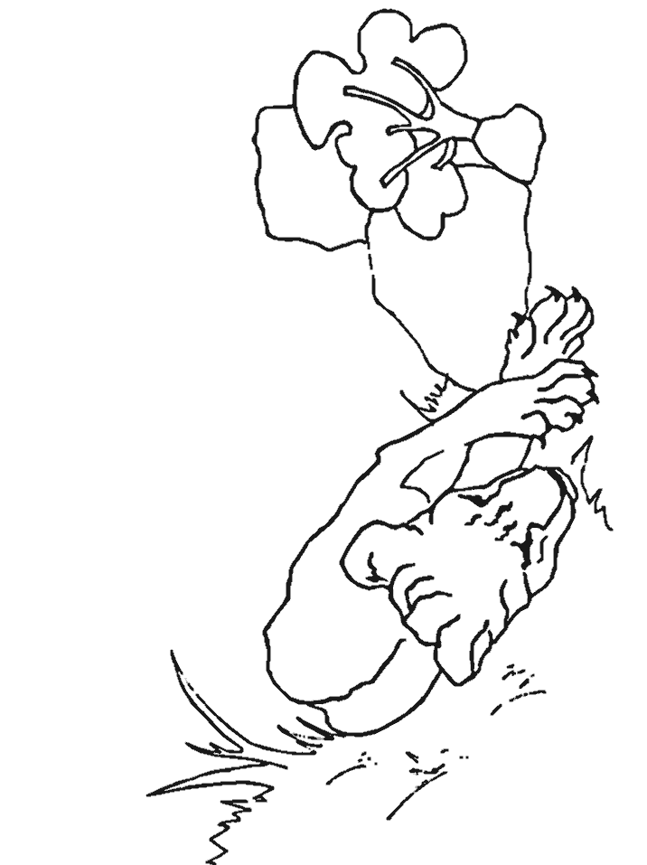 Sleeping Lion Coloring Pages