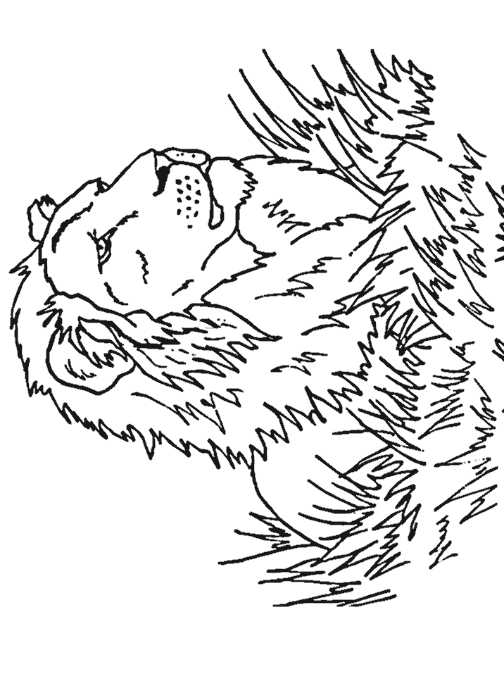 Lion King Coloring Page