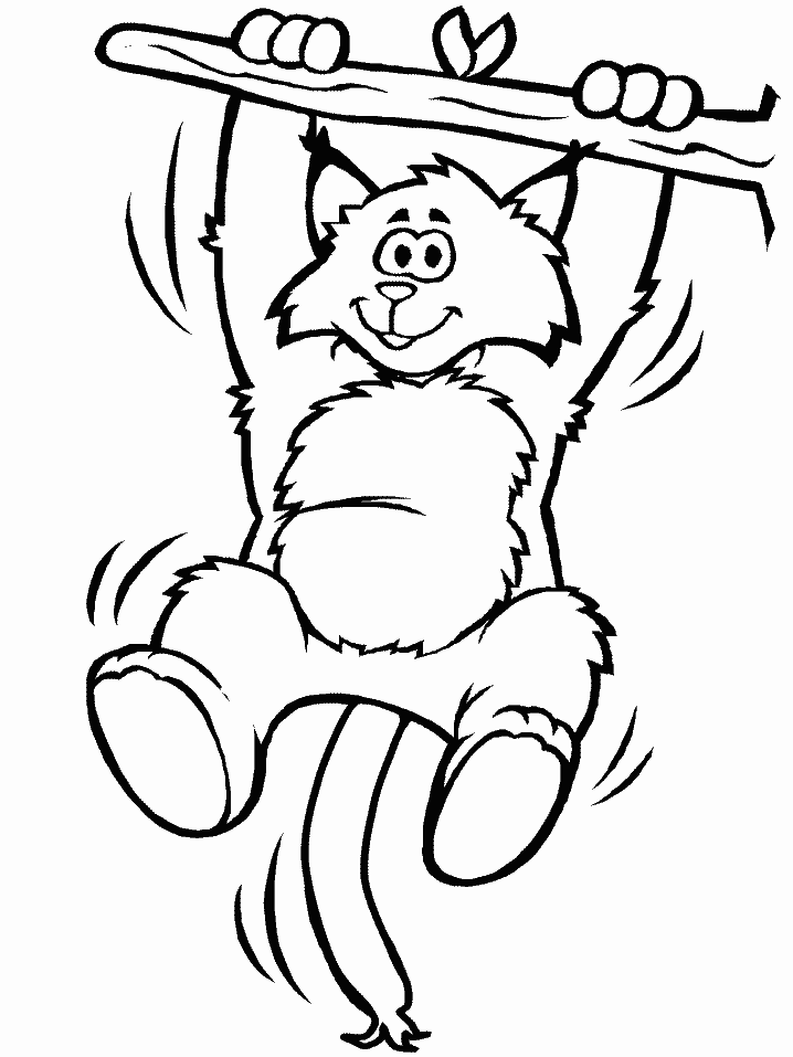 Lynx Animals Coloring Pages