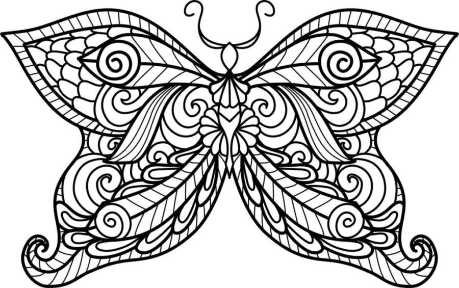 mandala butterfly coloring pages