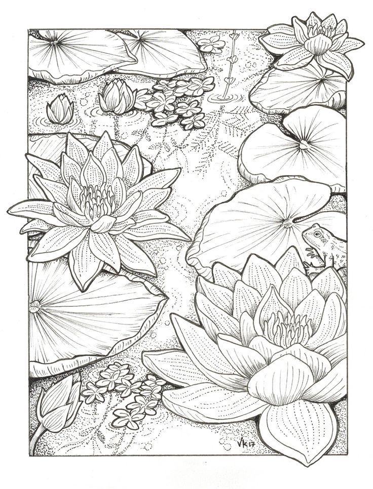 mandala water lilly adult coloring pages for adults