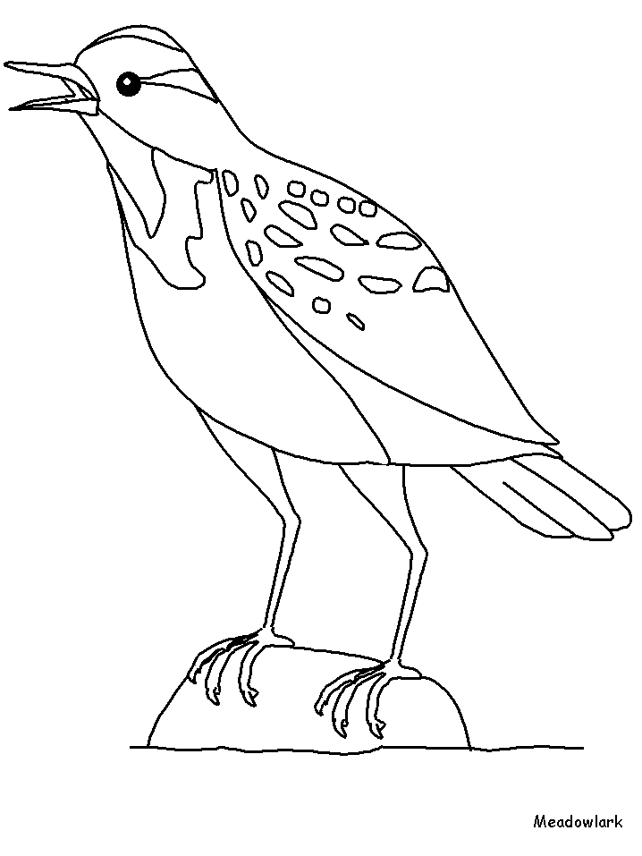 Meadowlark Animals Coloring Pages