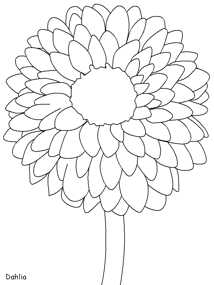 Mexico Dahlia Countries Coloring Pages