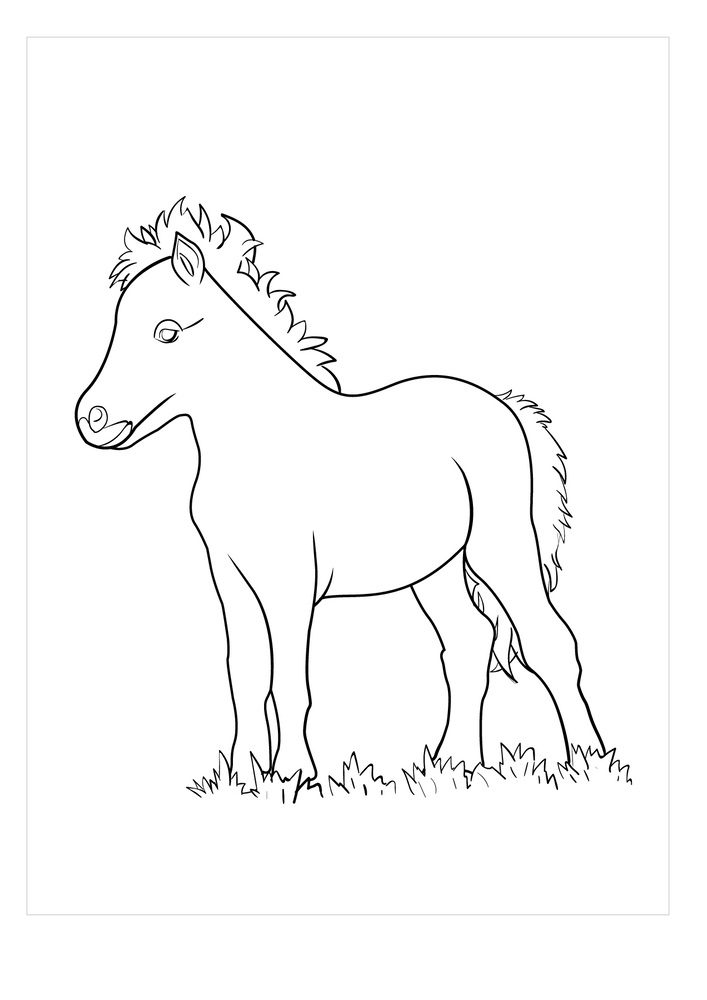 mini horse coloring pages