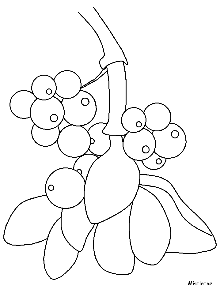 Mistletoe Flowers Coloring Pages