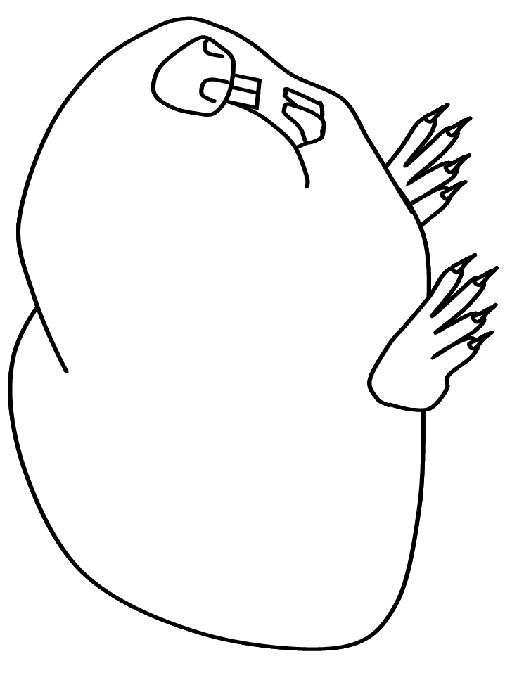 Mole Rat Animals Coloring Pages