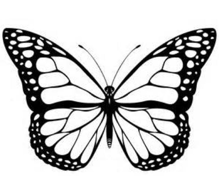 Monarch Butterfly coloring page