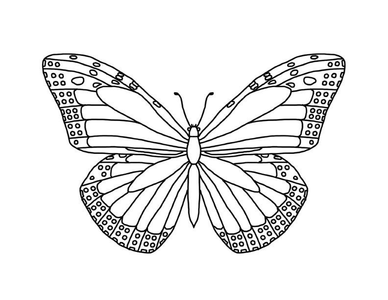 monarch butterfly coloring pages