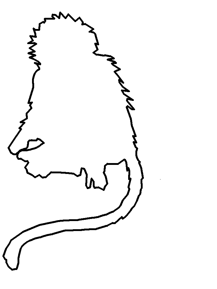 Monkey Outline coloring page