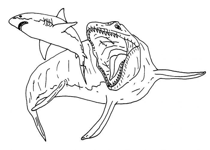 mosasaurus water dinosaur coloring pages