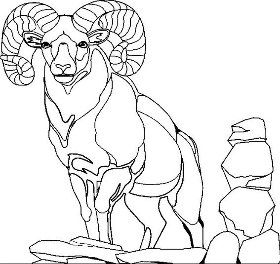 mountain goat coloring page