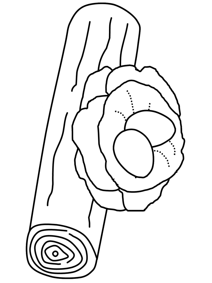 Nest Homes Coloring Pages