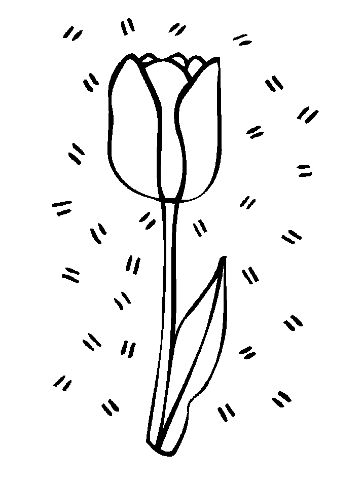 Netherlands Tulips Coloring Pages