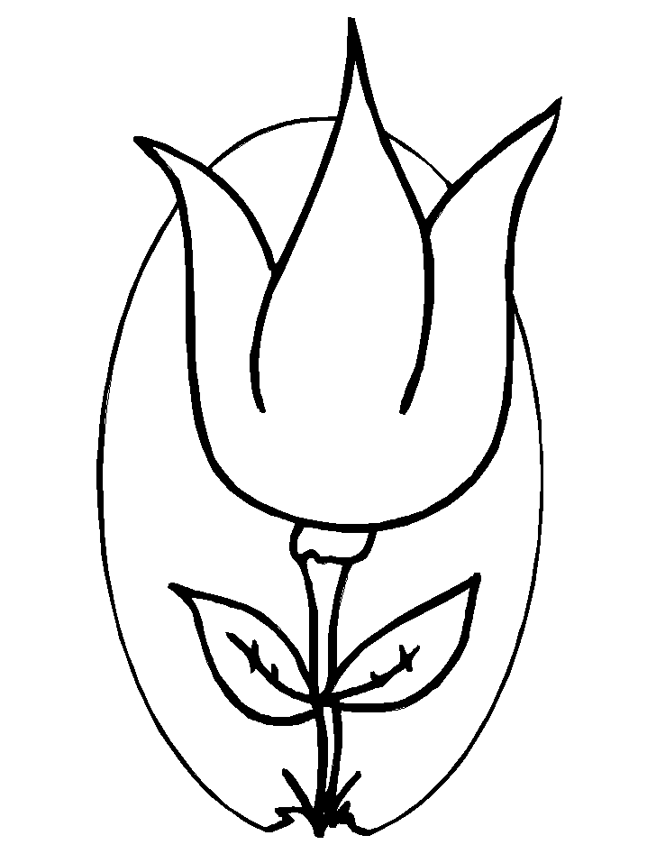 Netherlands Flower Coloring Pages