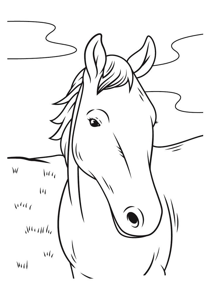 new horse coloring pages