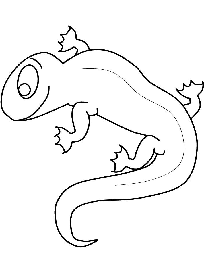 Newt Animals Coloring Pages