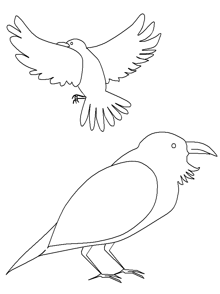 Norway Huginn And Muninn Countries Coloring Pages