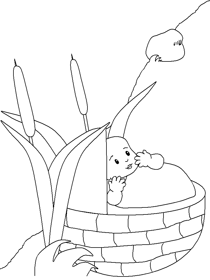 Nw Babymoses Bible Coloring Pages