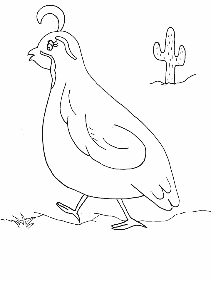 Nw Quail Bible Coloring Pages