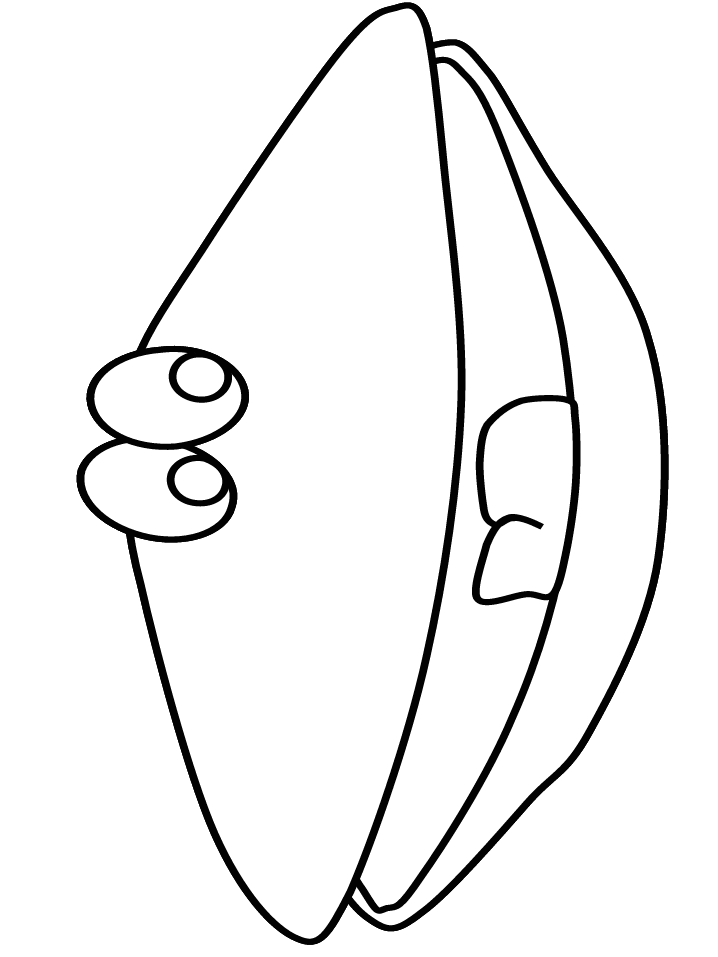 Ocean Clam Animals Coloring Pages