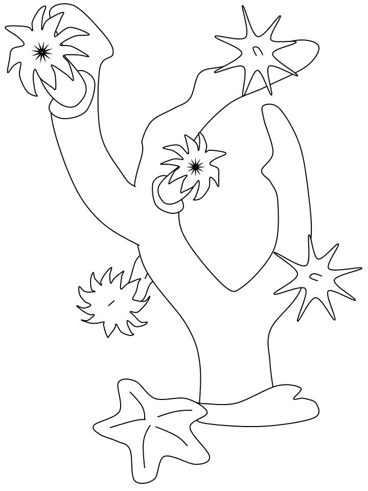 Ocean Coral Animals Coloring Pages