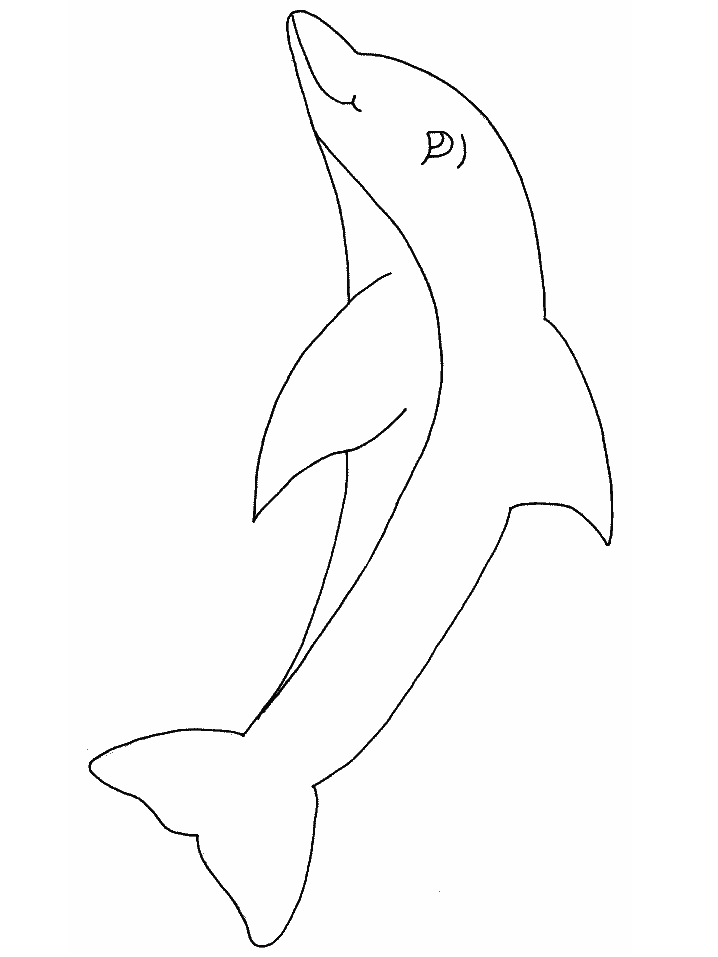 Ocean Dolphin Animals Coloring Pages