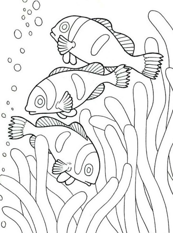 ocean fish coloring pages