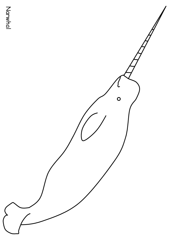 Ocean Narwhal Animals Coloring Pages