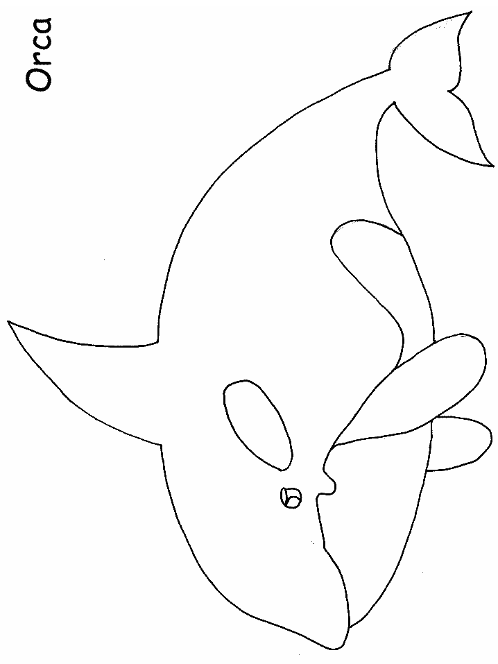 Ocean Orca Animals Coloring Pages