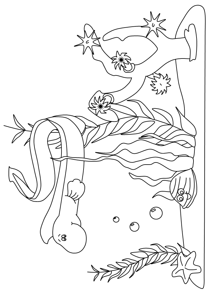 Ocean Scene Animals Coloring Pages