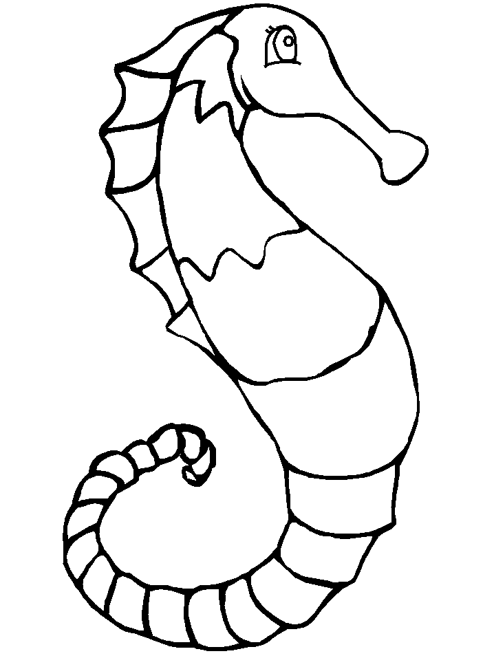 Seahorse Coloring Pages Free
